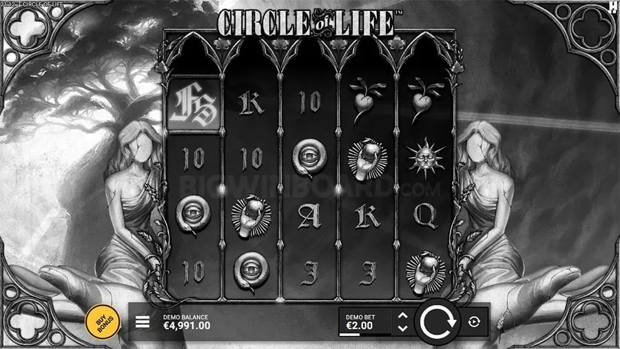 okjl Live Betting Interface