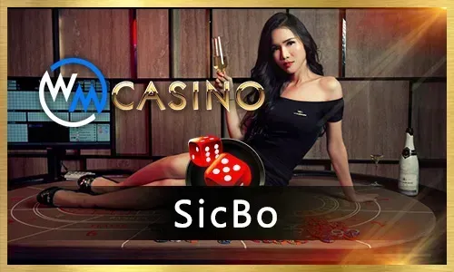 bingoplus Mobile App Interface